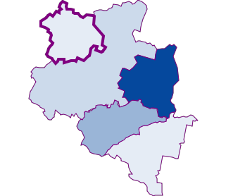 Wilków