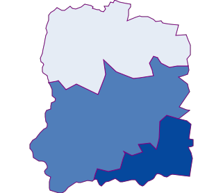 wołowski